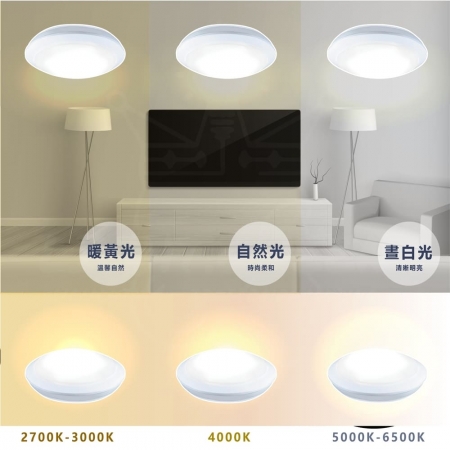 【Everlight 億光】2入組 星庭防水吸頂燈 10W IP65 白光/中性光/黃光