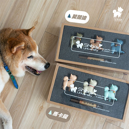 柴犬大學 聞香柴柴線香座禮盒 居家香氛 柴柴 柴犬周邊 柴犬禮物 送禮