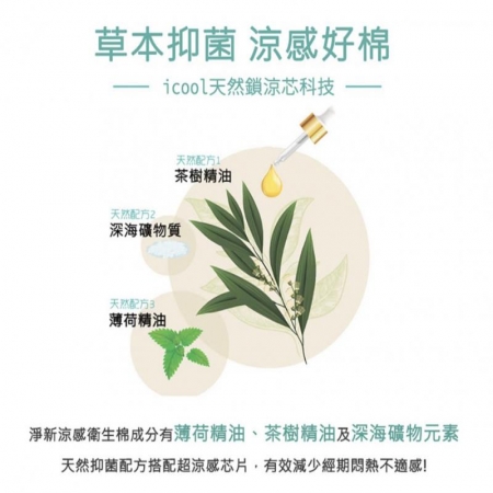 淨新涼感衛生棉-超值大禮包! 買10送10（共20入組） 清新透氣 衛生巾 衛生棉