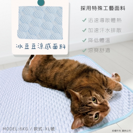 貓本屋 冰豆豆涼感寵物墊（L號/60x50cm）