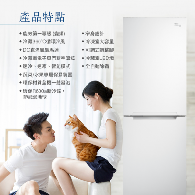 【TECO 東元】302公升 雙門冰箱R3024TXW上冷藏下冷凍
