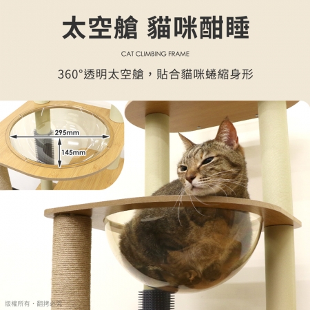 【好買點數放大】貓本屋 挑高雙柵欄觀景台太空艙柚木紋貓跳台附蹭毛柱（175cm）
