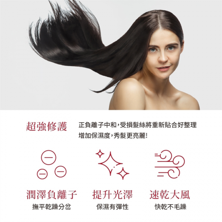 【TESCOM】 大風量負離子吹風機 TID962TW