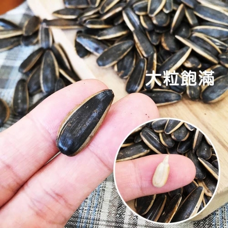【盛香珍】豐葵香瓜子量販包3kg/包（焦糖/桂圓紅棗/日月潭紅茶/海鹽 任選）-2包組