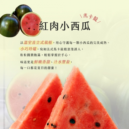 【雪莉朵辣嚴選】馬卡龍 紅肉小西瓜 迷你果（5-7粒）4斤箱