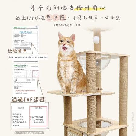 貓本屋 台灣製 雙太空艙方形實木貓跳台（附劍麻抓板/球）