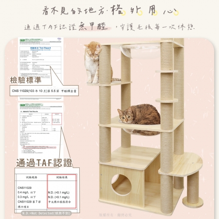 貓本屋 台灣製 雙橢圓太空艙加大貓屋實木貓跳台