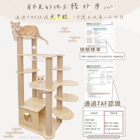 貓本屋 台灣製 短腿貓專用 雙太空艙旋轉樓梯加厚實木貓跳台