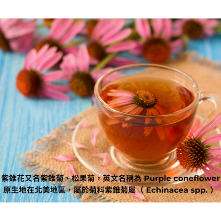乾燥紫錐菊純花（18g/罐）