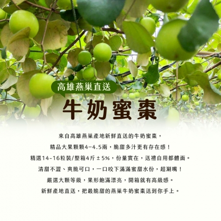 【雪莉朵辣嚴選】高雄燕巢牛奶蜜棗-大果（4斤/箱）