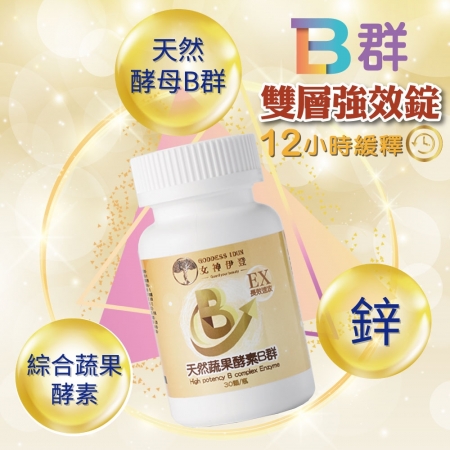 Goddess Idun女神伊登-蔬果酵素B群長效錠（30顆）x5瓶