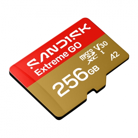 SanDisk Extreme GO 256G microSD UHS-I V30 記憶卡（SD-SQXGN-256G）