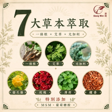 【Sheng Wen梁時】艾草暴富貼 | 艾草一條根精油貼布 | 漢方養護 一貼舒適全身