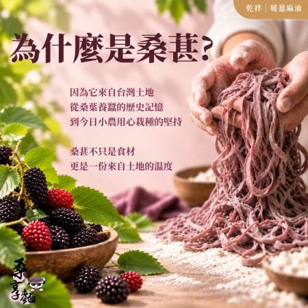 【Sheng Wen梁時】桑享麵-暖薑麻油乾拌麵 （114g*4包入） 全素 台灣桑葚麵 麻油薑拌麵 刀削寬麵 無油製麵 拌麵 私廚坊
