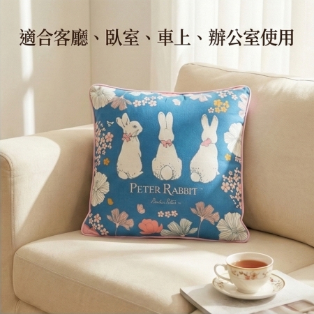 11月兔兔囤貨季~【PETER RABBIT 比得兔】比得兔 抱枕（3款） ＋ 腰枕（4款）