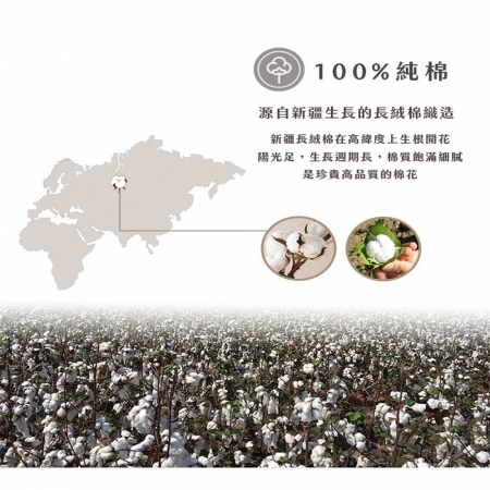 【HKIL-巾專家】台灣製純棉寬邊微重磅飯店毛巾
