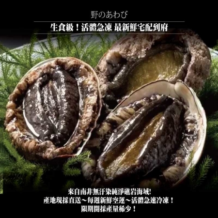 【小川漁屋】極品南非活凍帶殼鮑魚（500G＋-10%/包/約6~8粒） 