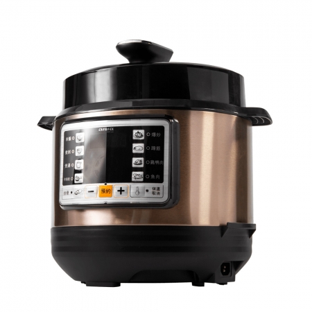 【AIWA 愛華】5L多功能電壓力鍋 DYK-A60