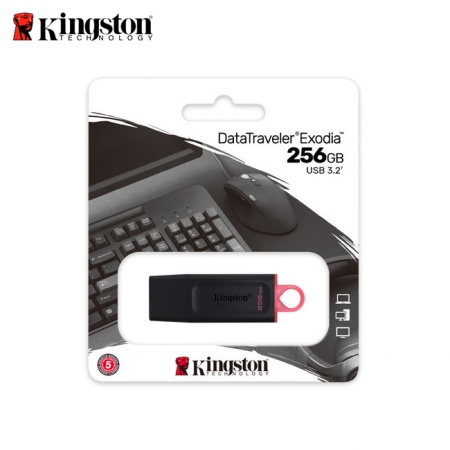金士頓 Kingston 256G DataTraveler DTX USB3.2 高速隨身碟 （KT-DTX-256G）