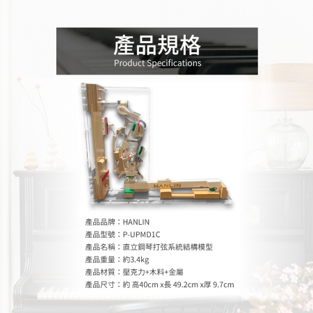 HANLIN-P-UPMD1C- 直立鋼琴打弦系統結構模型