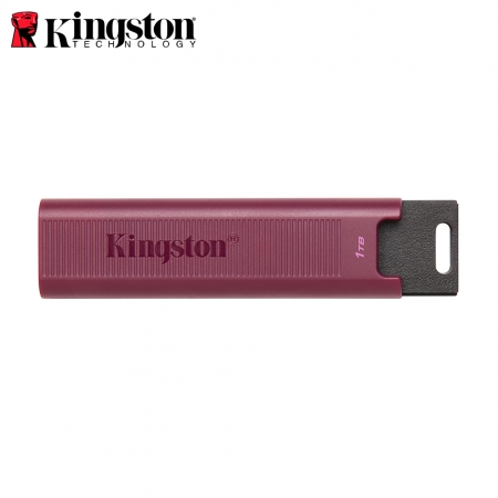 Kingston 金士頓 Data Traveler Max 1TB USB 3.2 高速 隨身碟 （KT-DTMAX-A-1TB）