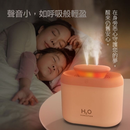 免掀蓋雙頭噴霧微分子水氧機