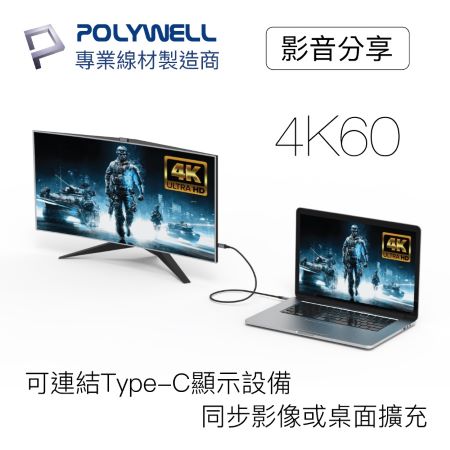 POLYWELL USB 3.1 3.2 Gen2 10G 100W Type-C 2米 高速傳輸充電線 寶利威爾 台灣現貨