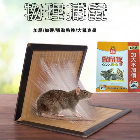 超強黏力捕鼠黏鼠板（2片/盒）-2盒組
