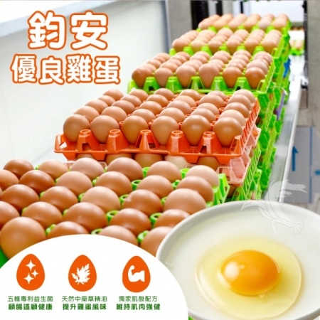 【鈞安牧場】專利配方鎂力機能蛋（土雞蛋8顆x3盒x1箱，共24顆）