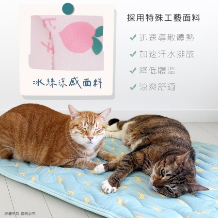 【好買點數放大】貓本屋 涼感降溫冰絲寵物涼墊（L號/68x54cm）