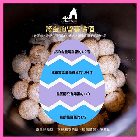 Mouthful毛師傅 100%鱉蛋凍乾 爆毛神器 護毛亮毛 護膚 卵磷脂 狗保健品 營養品 狗零食 柴犬零食 柴犬大學 柴犬免運