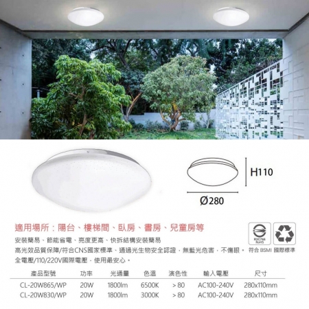 【TATUNG 大同】單入 20W 防水 LED 吸頂燈 防水燈具（白光 6500K）