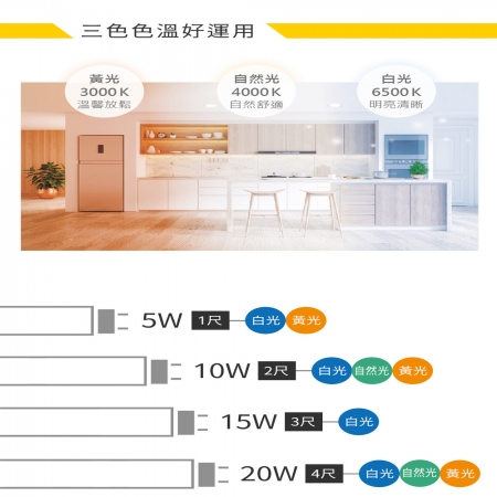 DanceLight 舞光 單入組 T8 LED燈管 四尺雙管山型燈具 白光/中性光/黃光