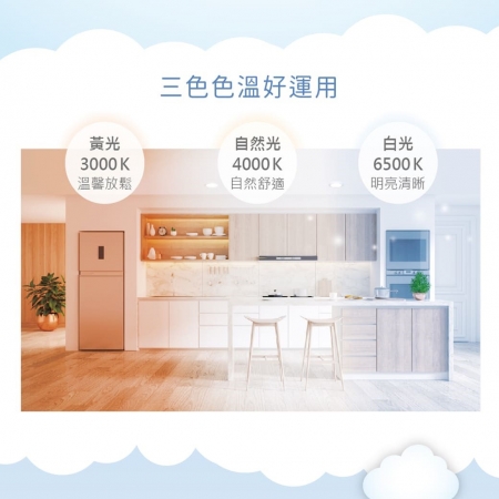 DanceLight 舞光 4入組  LED 24W 高光效 LED 雲朵薄型吸頂燈 防塵防蟲卡扣安裝 超薄設計 高5.2CM