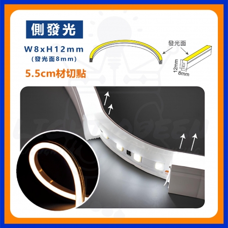 DanceLight 舞光 低壓戶外霓虹燈帶 DC24V 防水 軟燈帶 燈條 燈帶 側發光 正發光 每捆五米 整捆販售