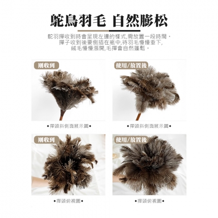 EZmakeit TMO-S/TMO-L 多功能鴕鳥毛除塵撢