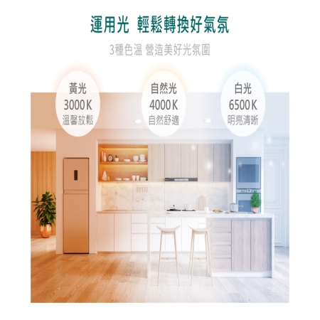 DanceLight 舞光 6入 平板燈吸頂框架 吸頂框 鋁框 吸頂支架 LED-PD40-FR1 2尺X2尺