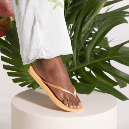 【哈瓦士havaianas】 巴西人字拖  女款 Slim/杏桃