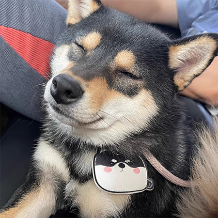 柴犬大學 大頭柴犬磁扣卡套 皮革卡套 柴柴 柴犬禮物 柴犬周邊 交換禮物 柴犬免運