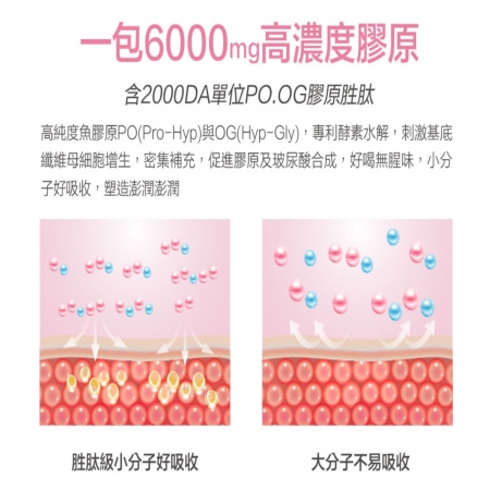 Angel LaLa 天使娜拉_EX膠原蛋白粉（口味任選-牛奶/莓果）