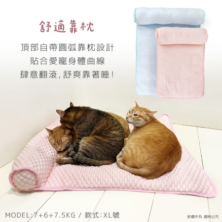貓本屋 冰豆豆涼感 靠枕寵物睡墊（L號/60x40cm）