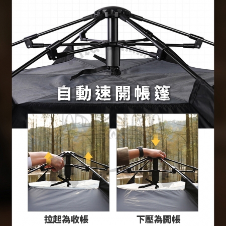 【Wild Summer】六角自動速開黑化帳篷｜加大空間×防水牛津布×一鍵開收×通風防蚊×贈收納袋