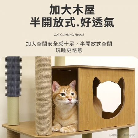 【好買點數放大】貓本屋 挑高雙柵欄觀景台太空艙柚木紋貓跳台附蹭毛柱（175cm）