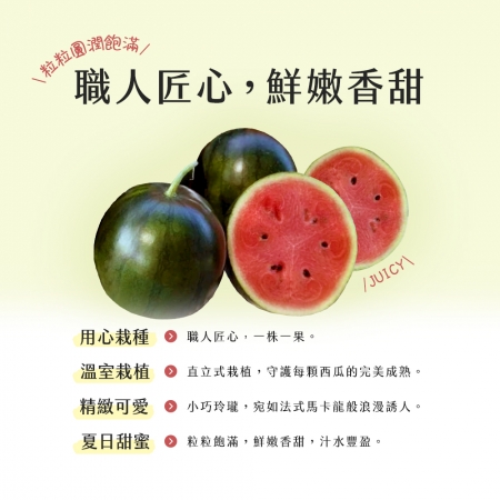 【雪莉朵辣嚴選】馬卡龍 紅肉小西瓜 迷你果（5-7粒）4斤箱