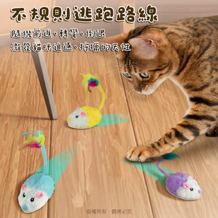貓本屋 發聲電動暴走小老鼠 USB充電絨毛寵物玩具
