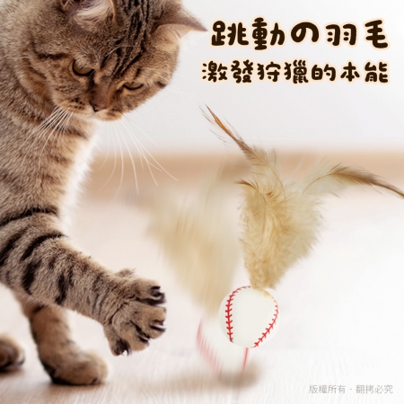 貓本屋 彈力雞毛球寵物玩具（3入組） 足球＋籃球＋棒球