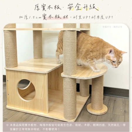 貓本屋 台灣製 雙橢圓太空艙加大貓屋實木貓跳台