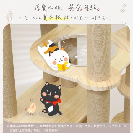 貓本屋 台灣製 短腿貓專用 雙太空艙旋轉樓梯加厚實木貓跳台