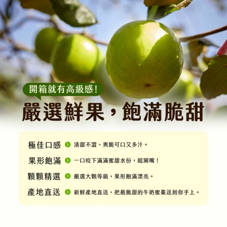【雪莉朵辣嚴選】高雄燕巢牛奶蜜棗-大果（4斤/箱）