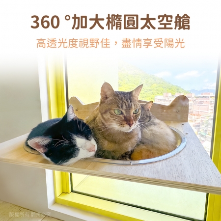 貓本屋 吸盤/釘牆兩用 升級款加大橢圓太空艙實木貓跳台貓窩